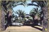 Saida Jardin Public